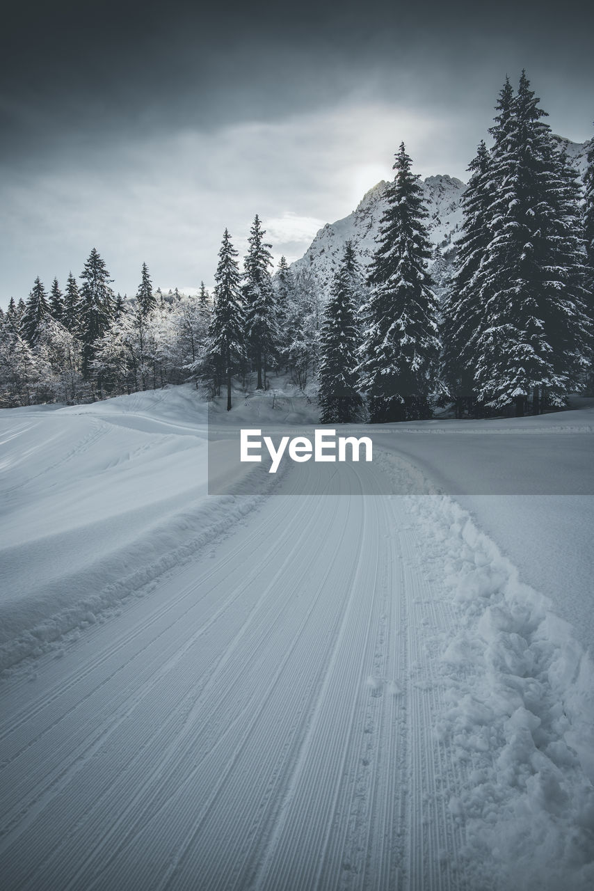 Tire tracks on snow covered land against sky
