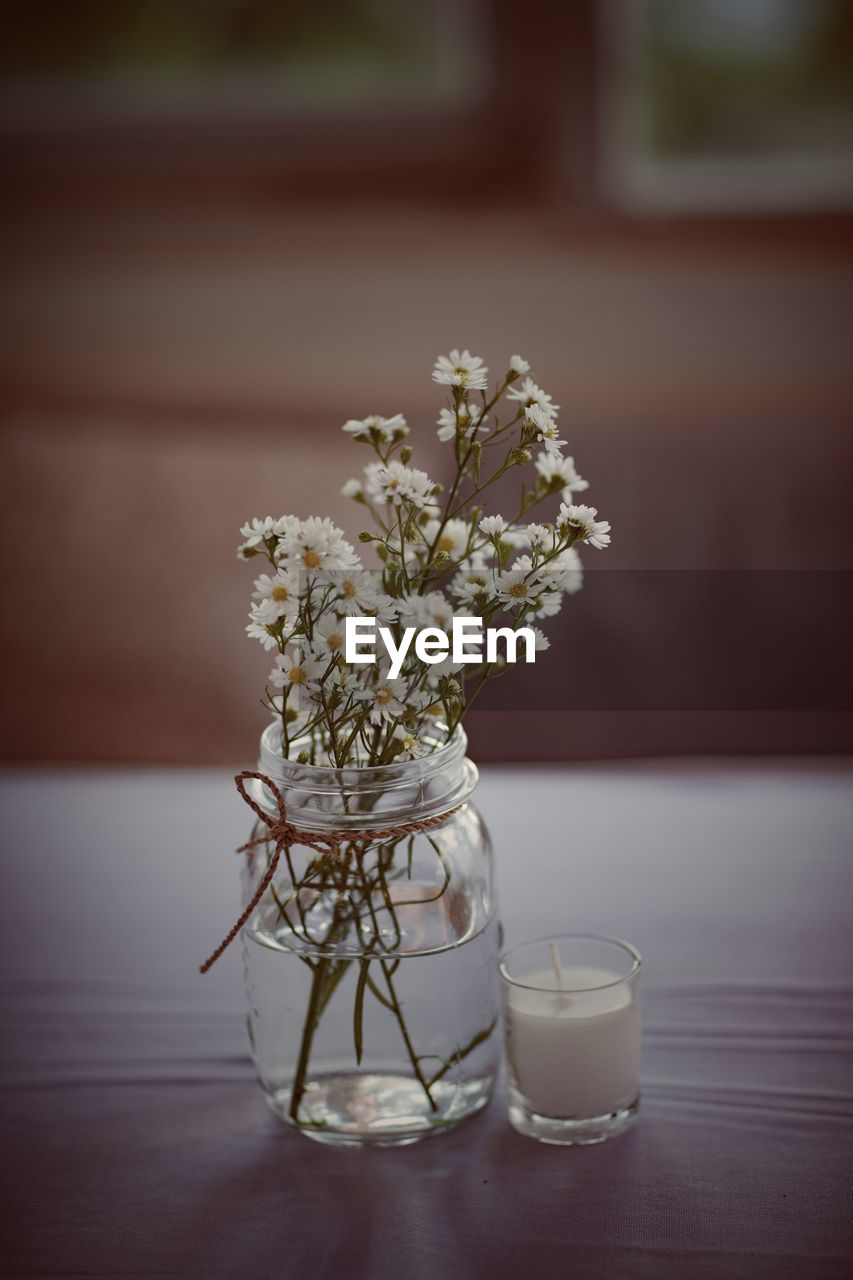 Close-up of white flowers in vase on table