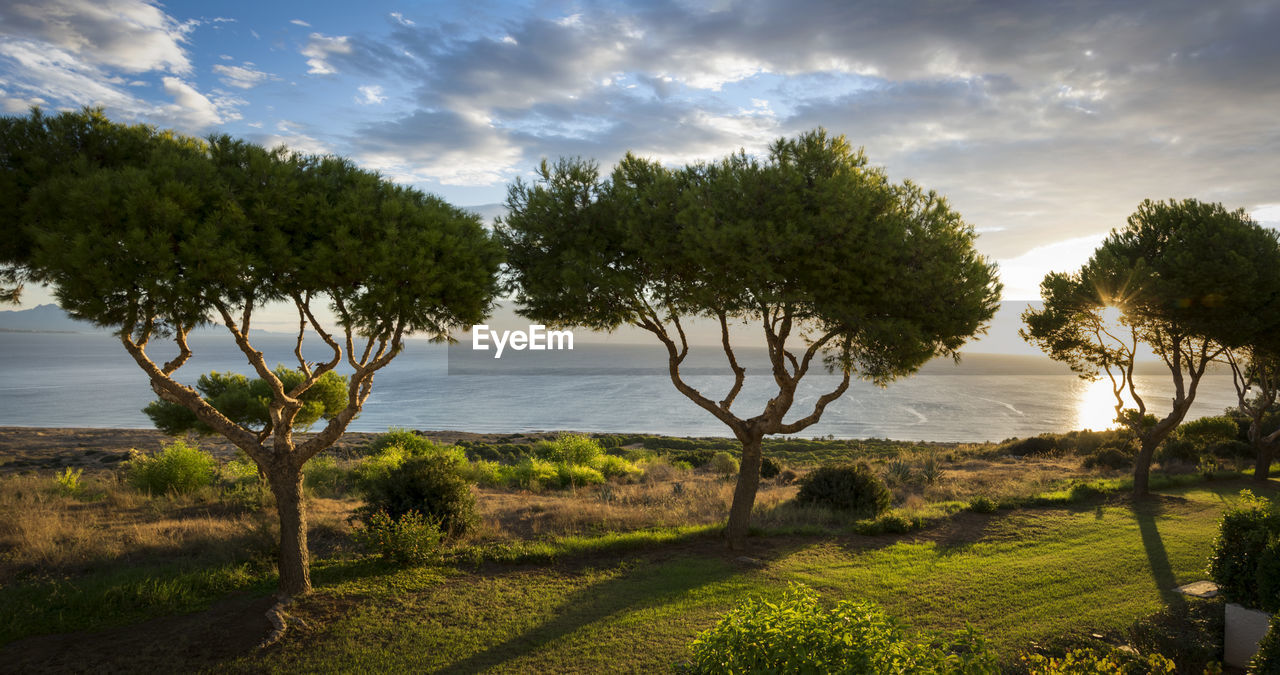 Scenic view of trees by lake against sky