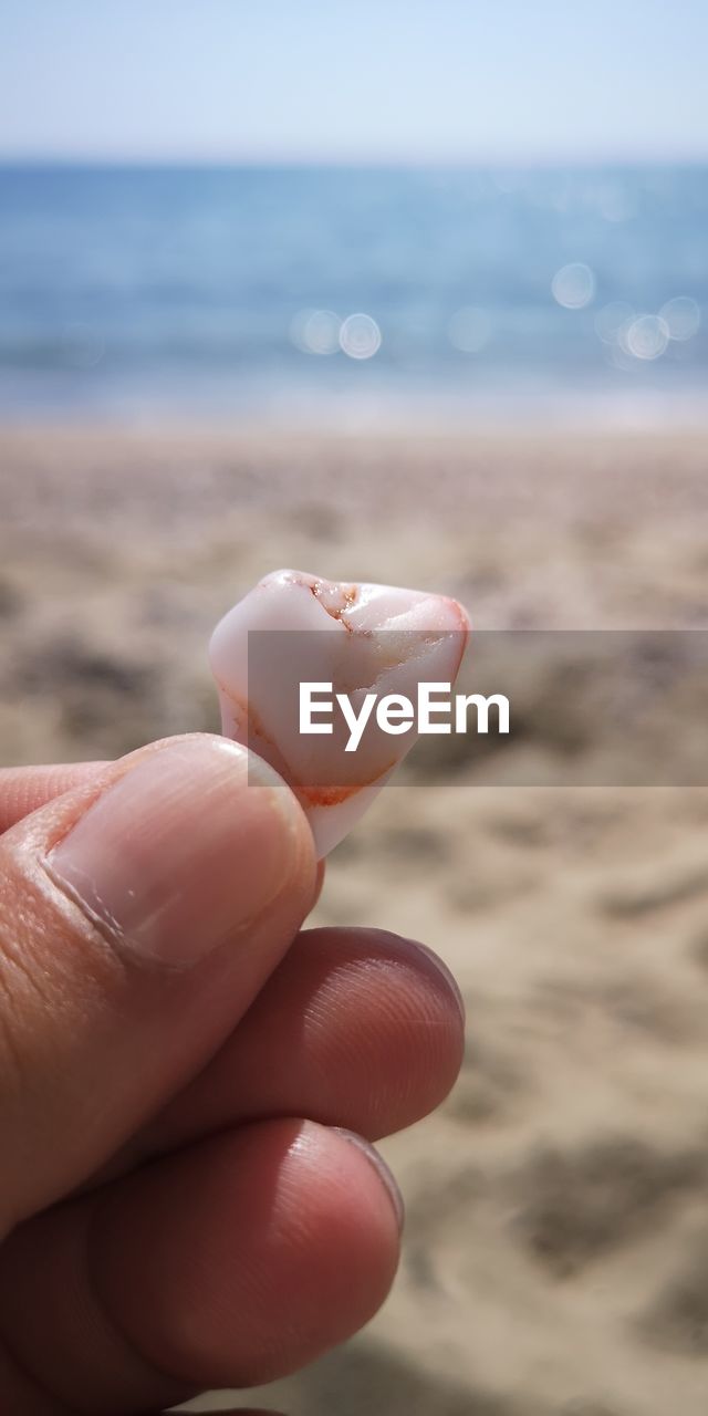 Cropped hand holding tooth at beach