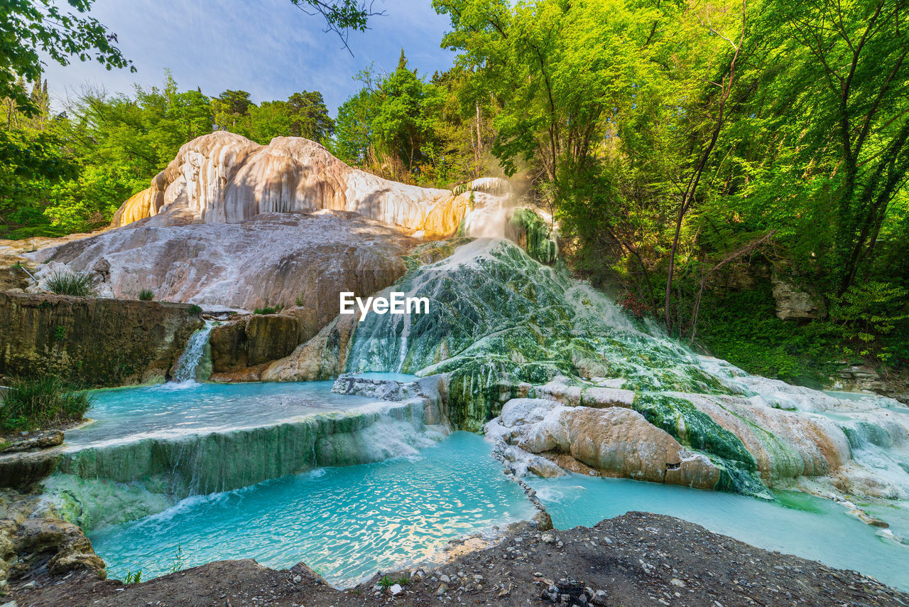 low angle view of waterfall in forest