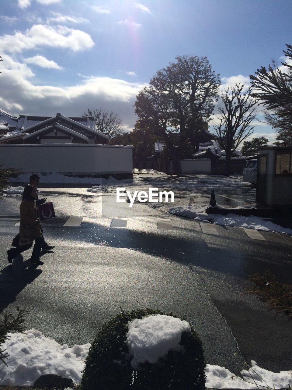 VIEW OF SNOW COVERED TREES