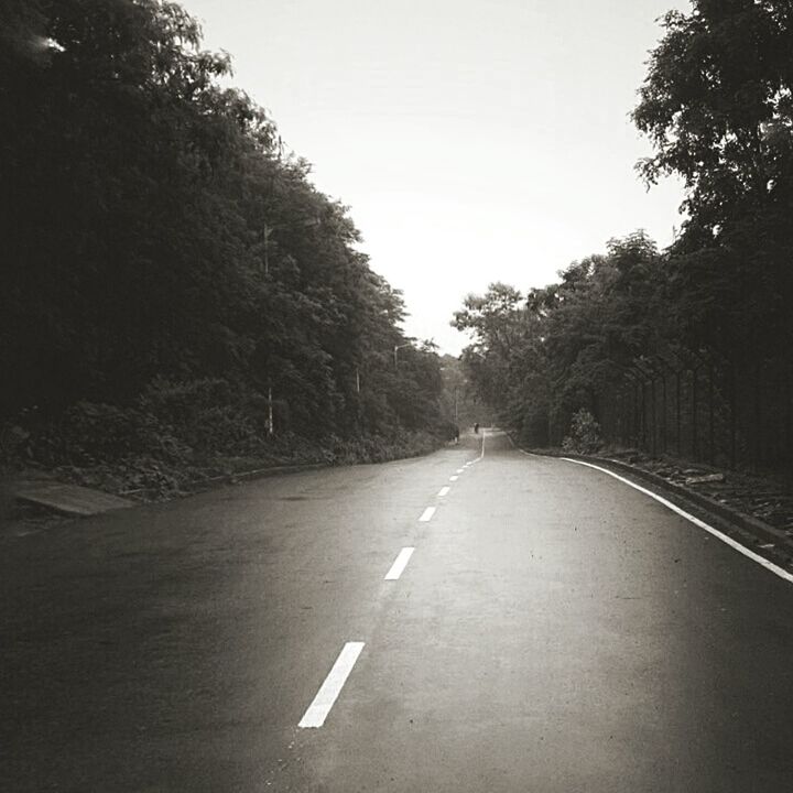 EMPTY ROAD WITH TREES IN BACKGROUND