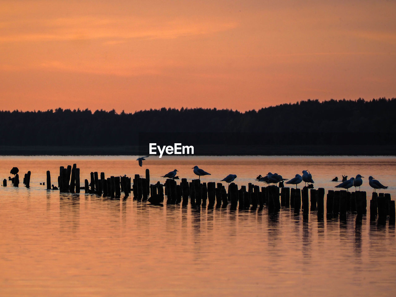 SCENIC VIEW OF LAKE DURING SUNSET