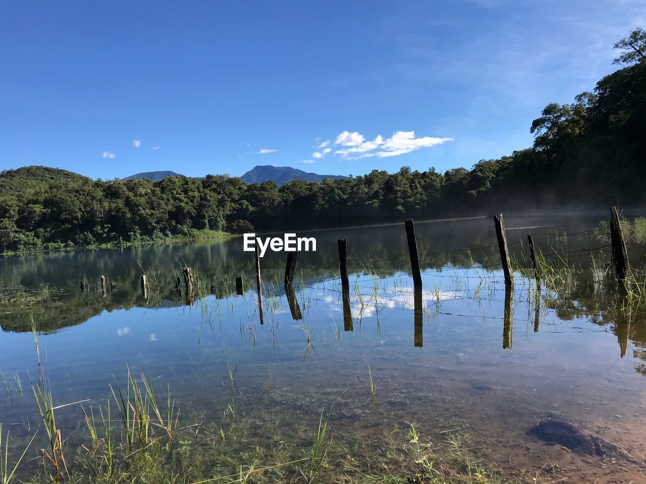 Wooden posts in lake against sky