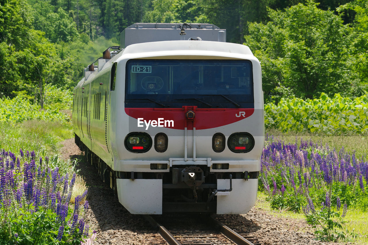 Lupine and kiya e193 inspection train