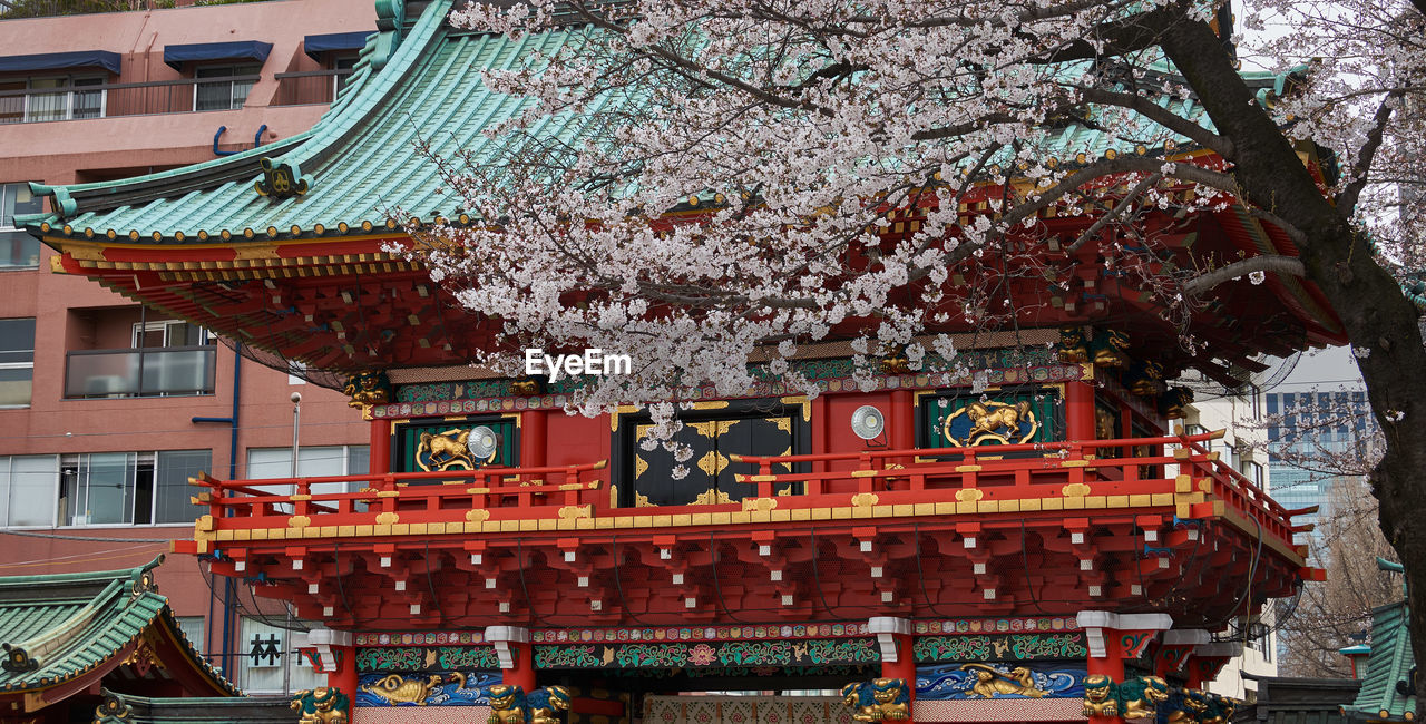 Full frame shot of cherry tree by japanese shrine