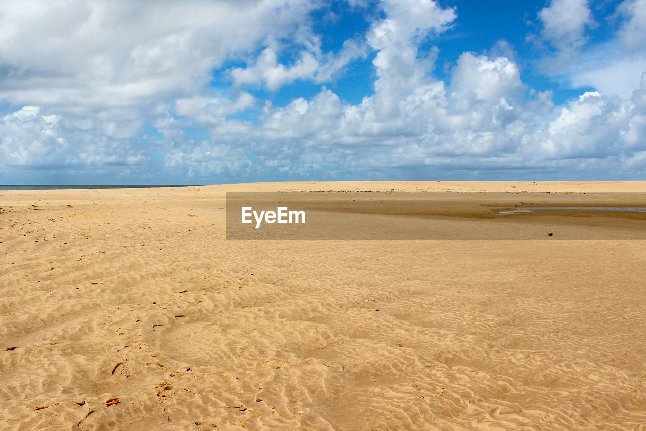 SCENIC VIEW OF BEACH AGAINST CLOUDY SKY