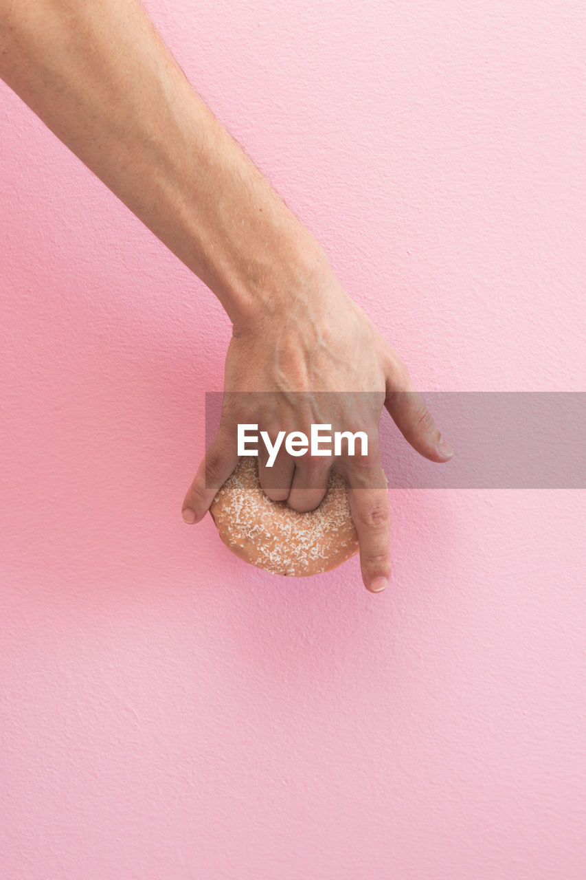 CLOSE-UP OF HAND HOLDING PINK ROSE