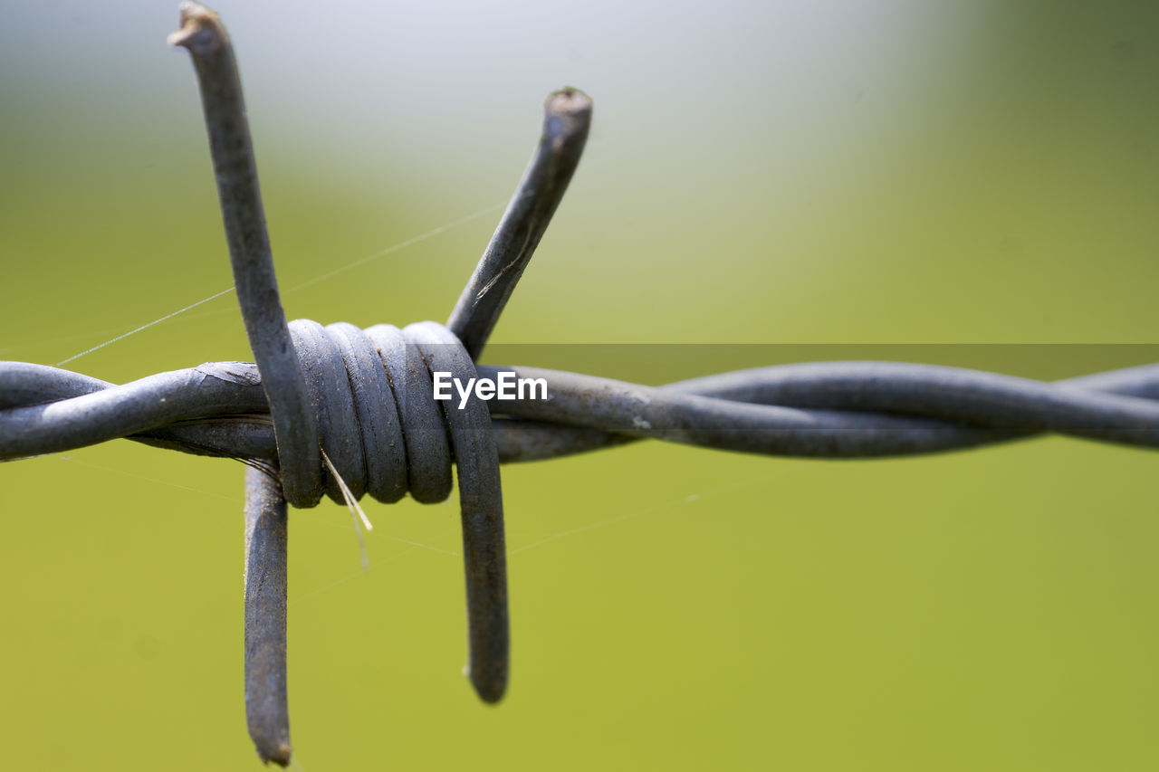 Close-up of barbed wire