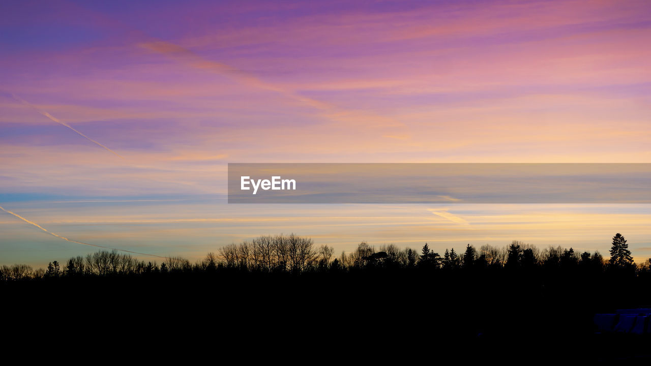 Silhouette trees in forest against sky during sunset