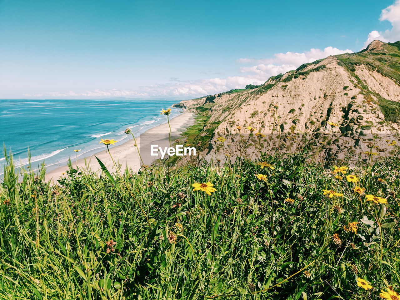 The view from ontop the cliffs above blacks beach