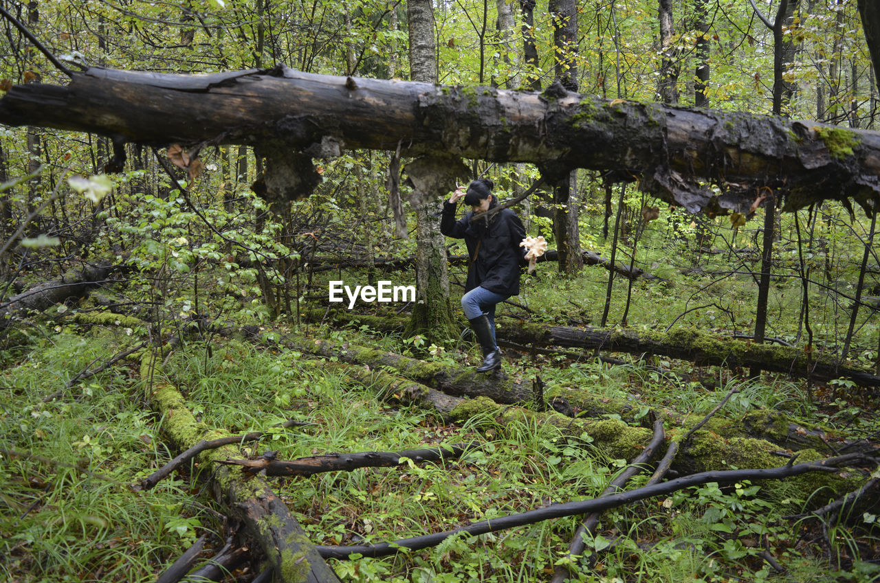 A girl collects mushrooms in the forest