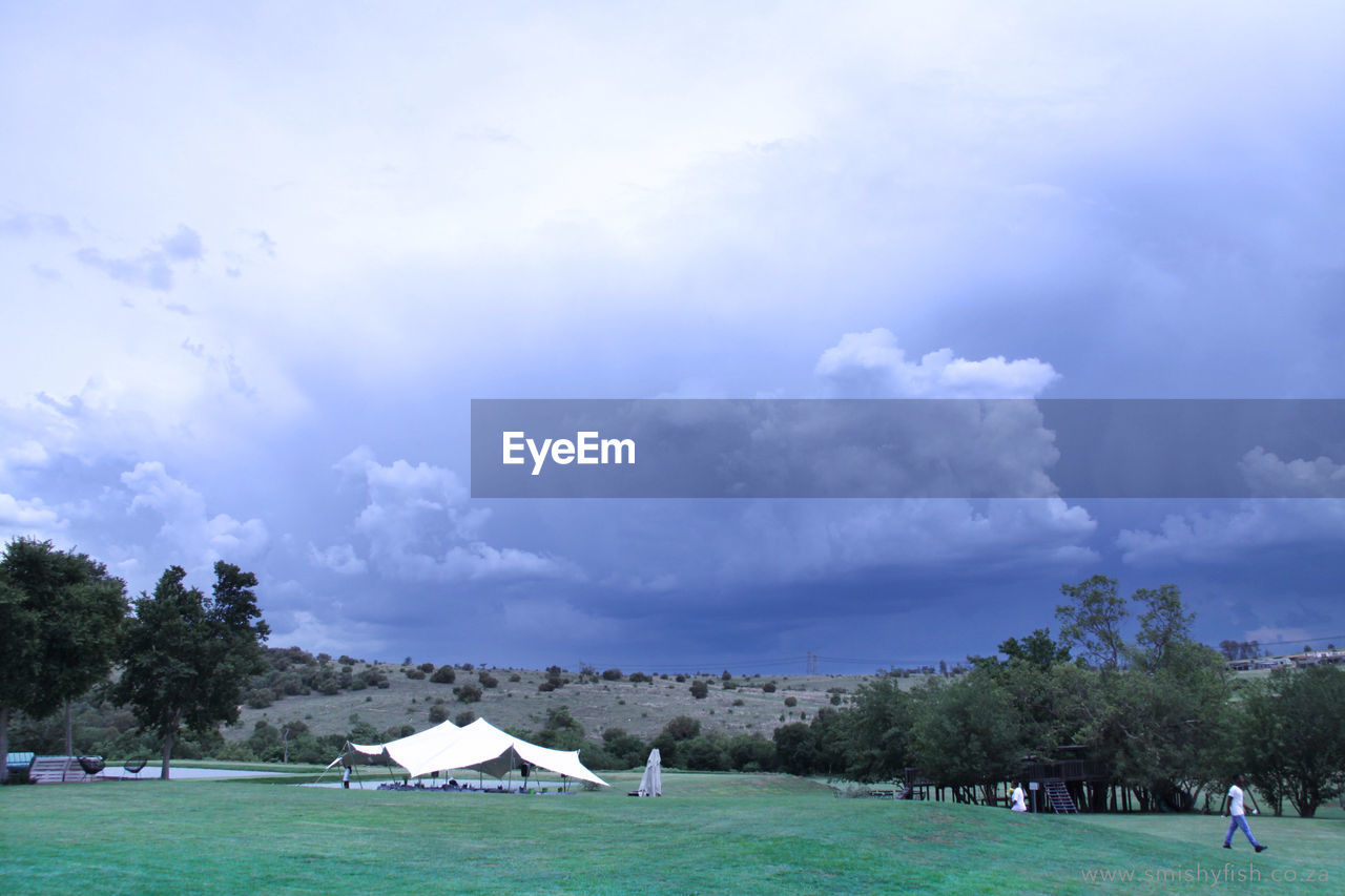 SCENIC VIEW OF TREES AGAINST SKY