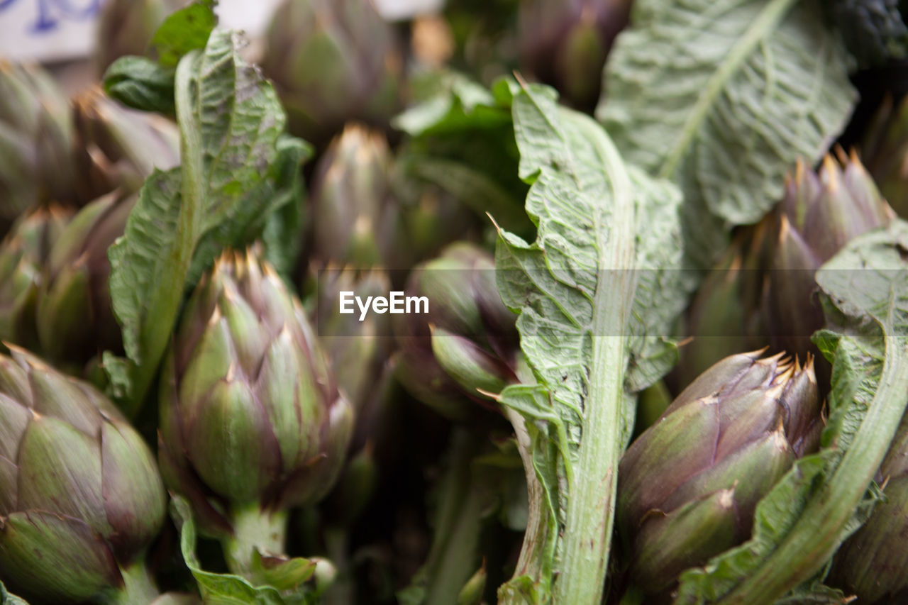 Close-up of artichokes in market