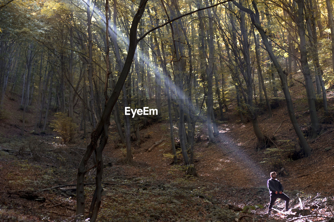 WOMAN STANDING BY TREES IN FOREST