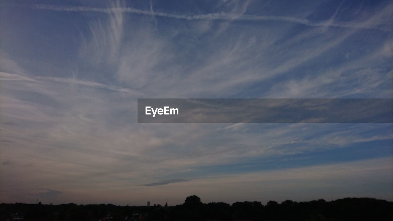 SILHOUETTE OF TREES AGAINST SKY