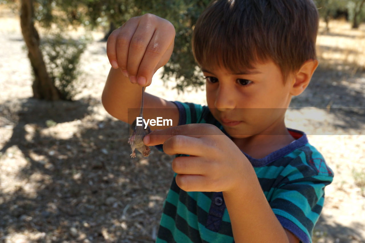 Close-up of boy holding mouse 