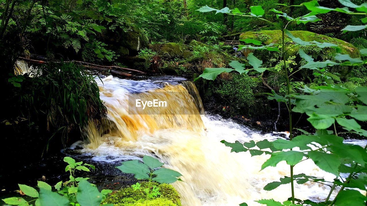 SCENIC VIEW OF WATERFALL