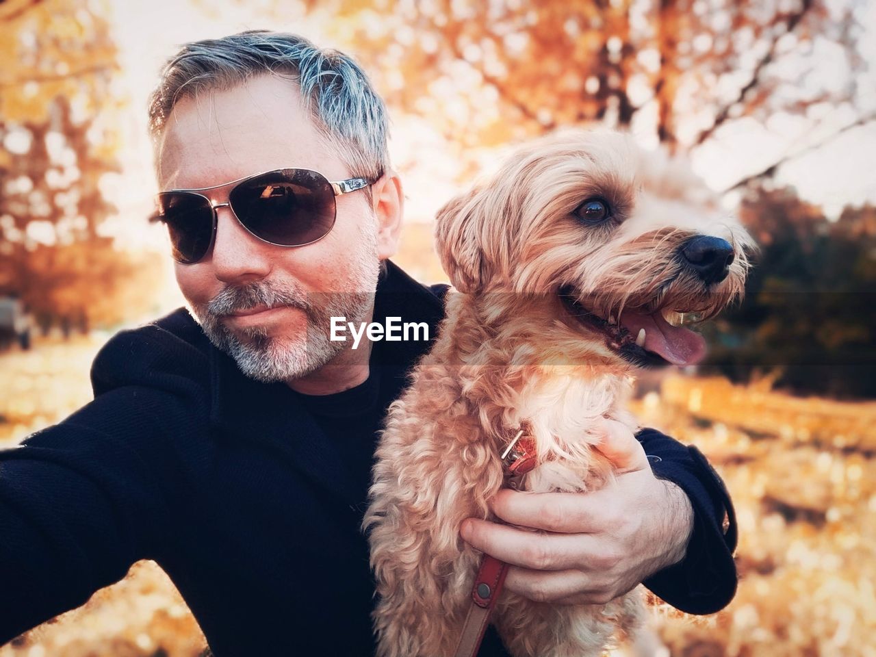 dog, canine, one animal, pet, domestic animals, mammal, animal themes, animal, adult, sunglasses, men, glasses, one person, fashion, smiling, happiness, friendship, portrait, nature, autumn, emotion, positive emotion, beard, lifestyles, facial hair, sunlight, love, mature adult, tree, outdoors, gray hair, cheerful, leisure activity, lap dog, bonding, holding, senior adult, embracing