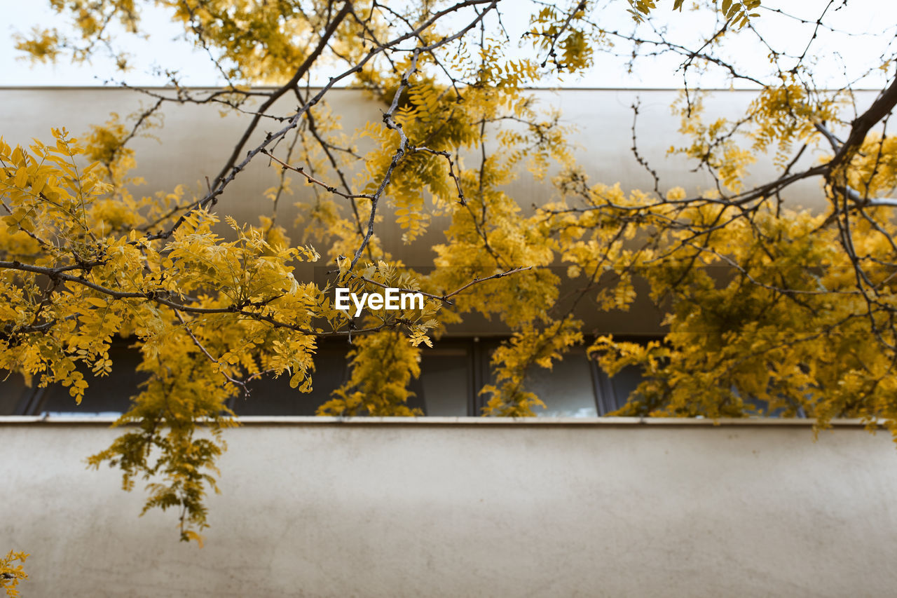 Modern curved balcony surrounded by lush golden foliage. boulder, colorado, usa