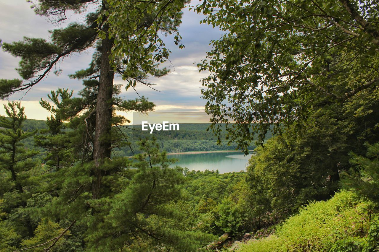 Scenic view of lake in forest against sky