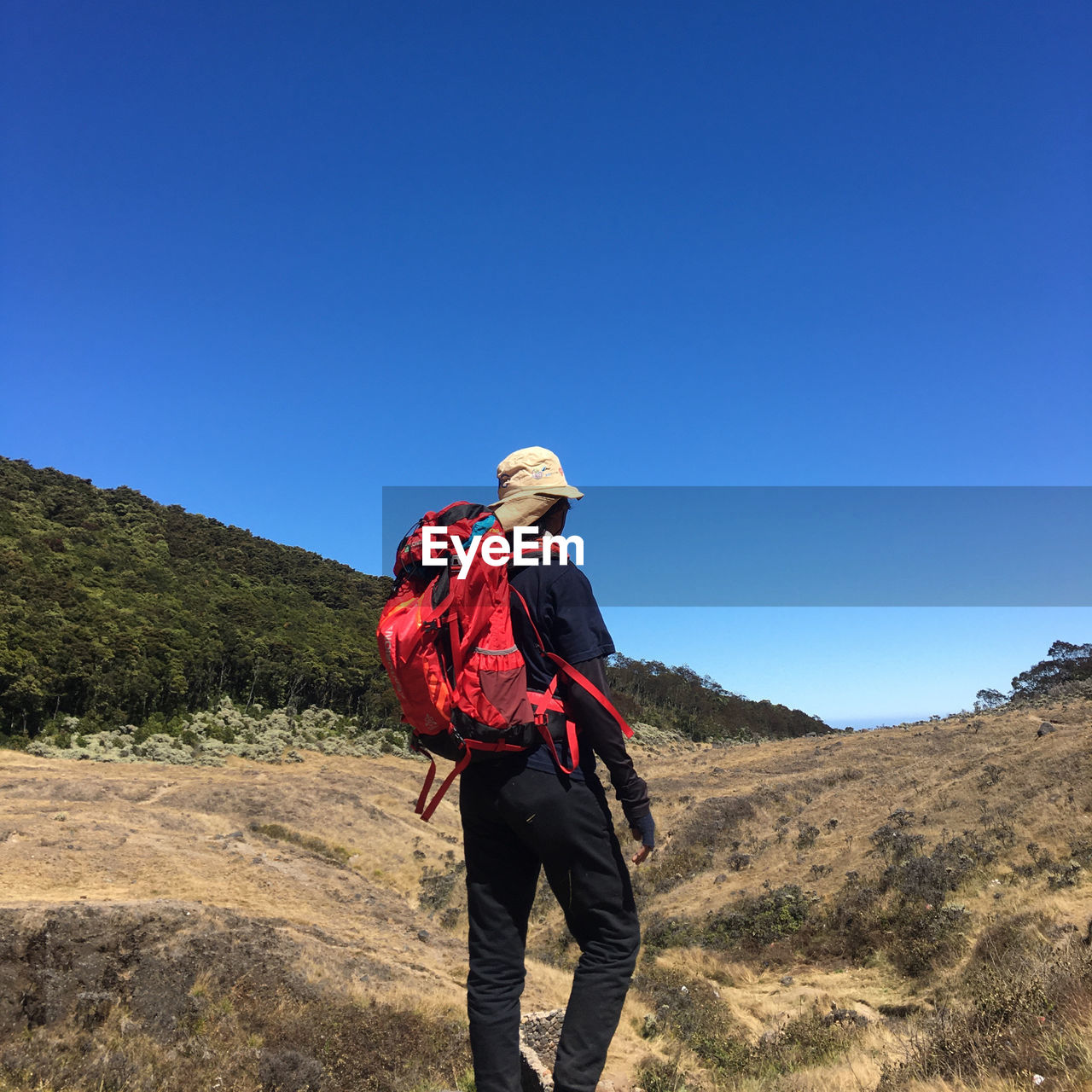 Rear view of man looking at mountain against clear blue sky