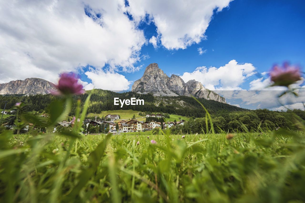 Scenic view of field against cloudy sky