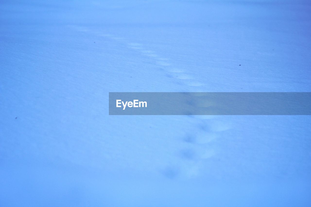 CLOSE-UP OF SNOW ON SNOWY FIELD