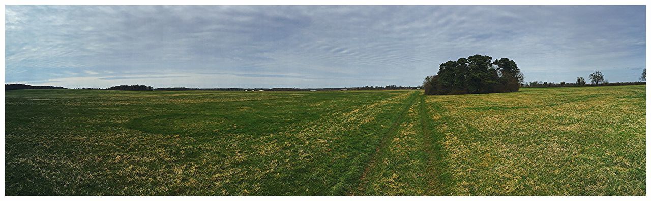 SCENIC VIEW OF GRASSY FIELD AGAINST SKY