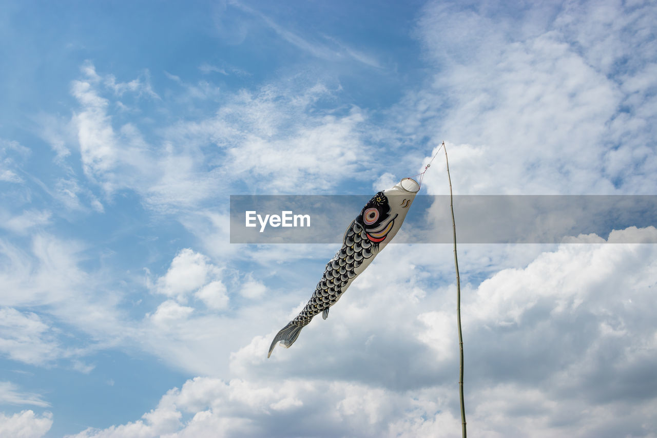 LOW ANGLE VIEW OF A BIRD FLYING AGAINST SKY