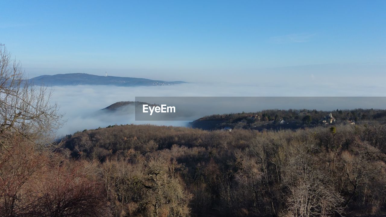 Scenic view of landscape against clear sky