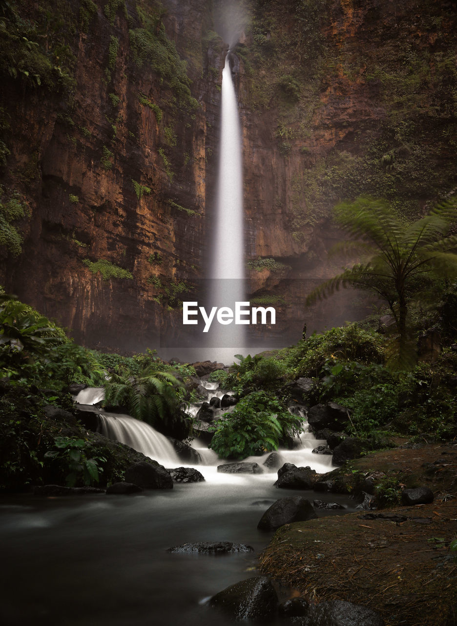 Scenic view of waterfall in forest