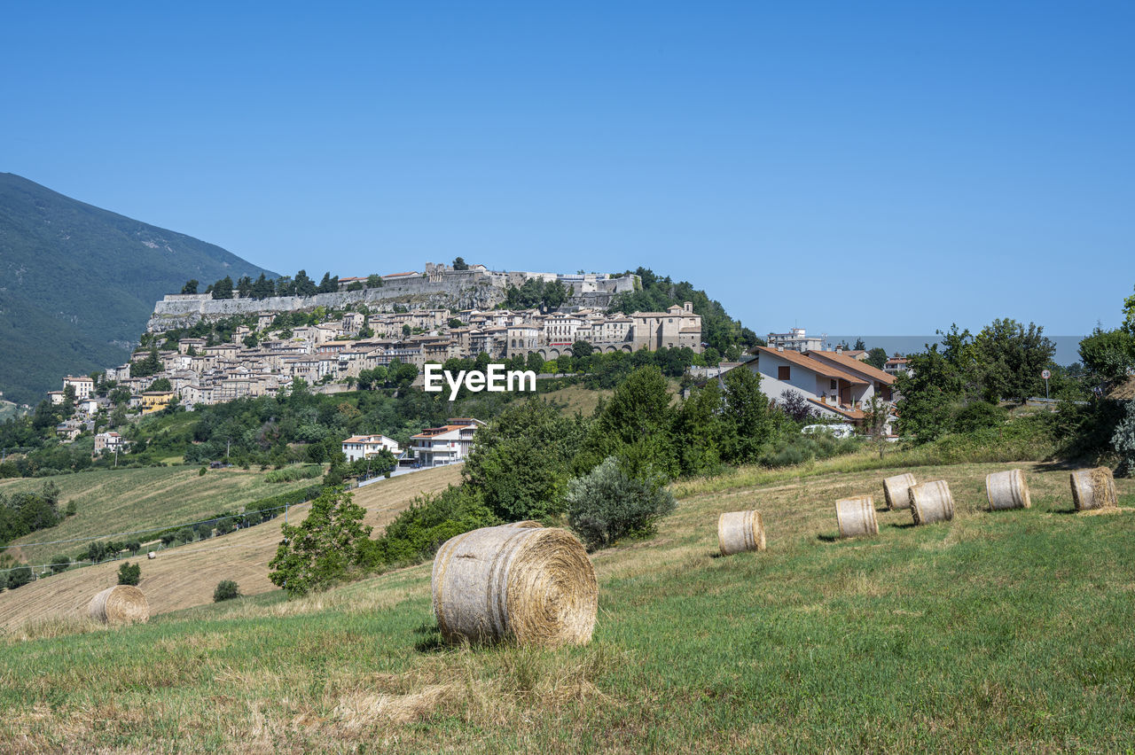 houses on grassy field against clear blue sky