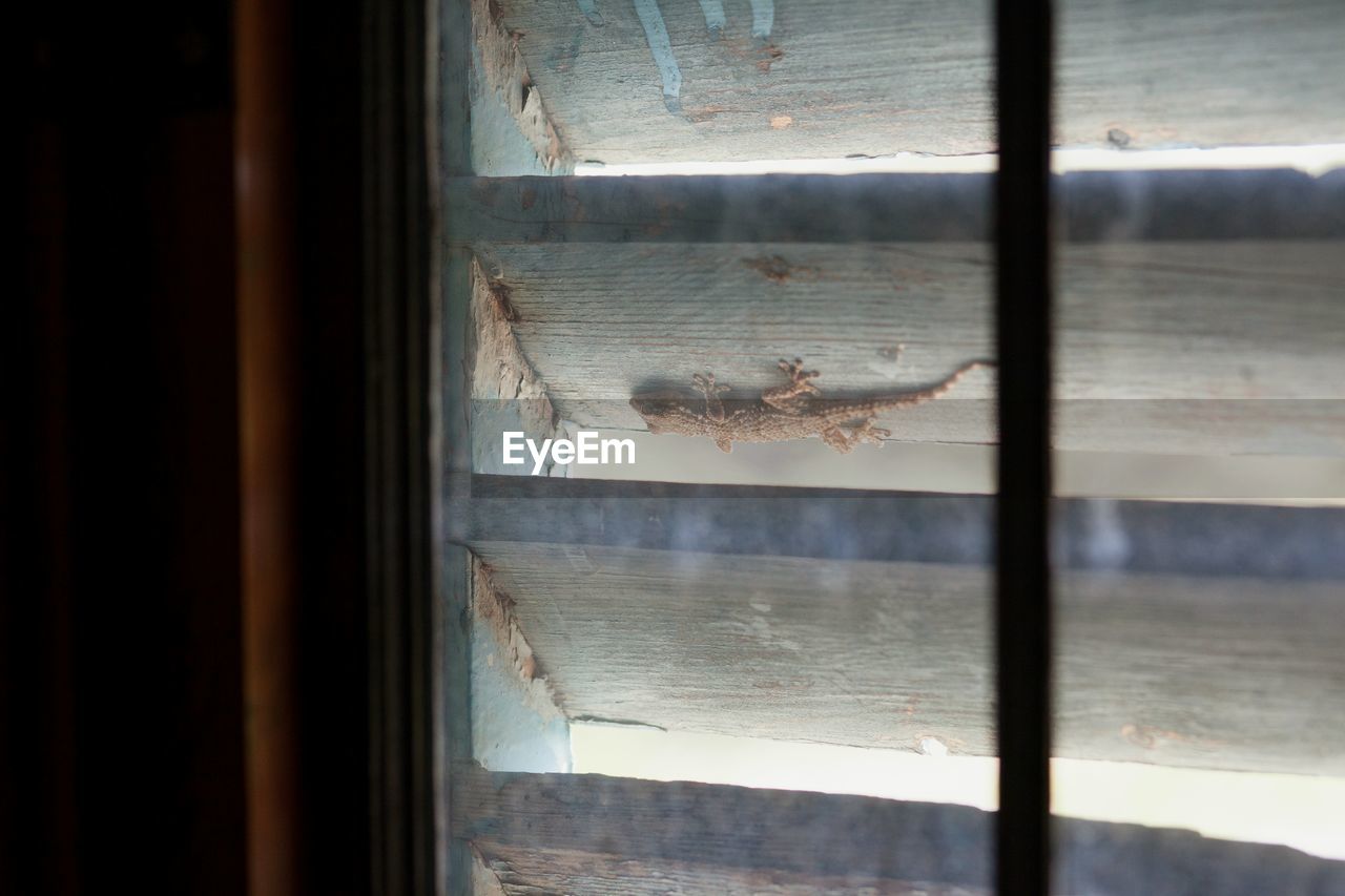 CLOSE UP OF WINDOW BLINDS