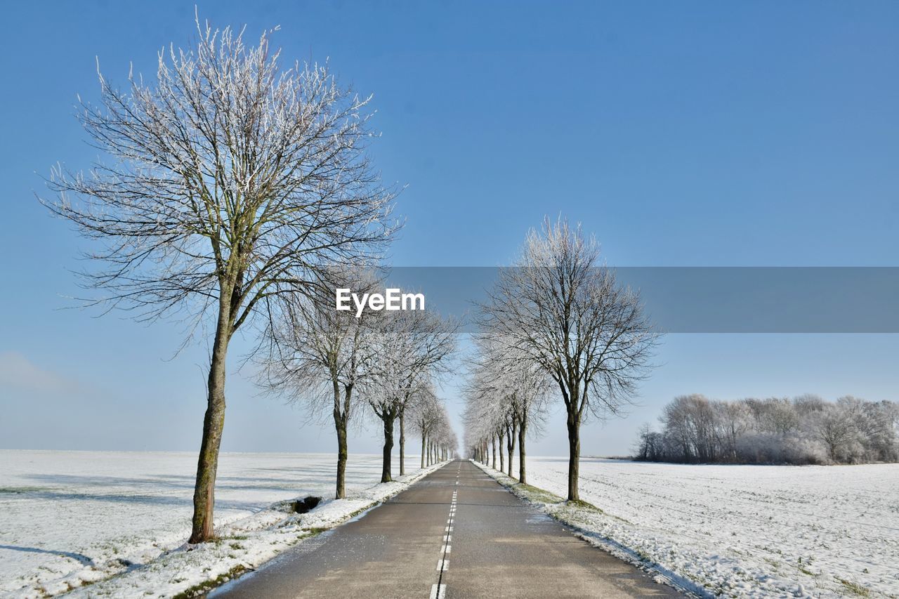 Road amidst bare trees against sky during winter