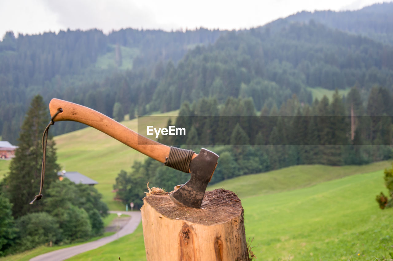 Close-up of hatchet on chopping block against trees on field in the mountains