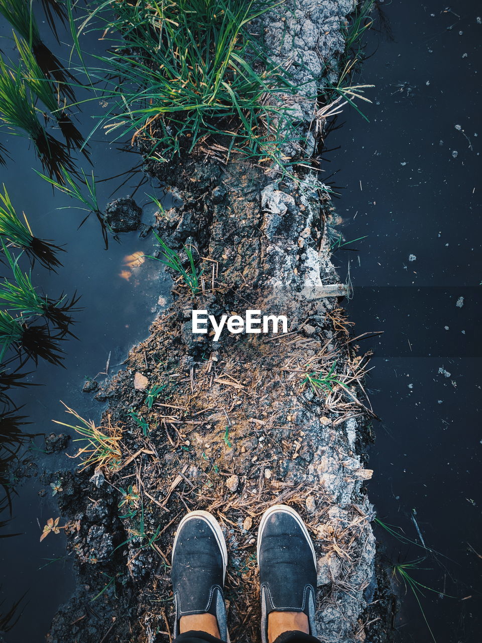 LOW SECTION OF PERSON STANDING BY LAKE AGAINST PLANTS