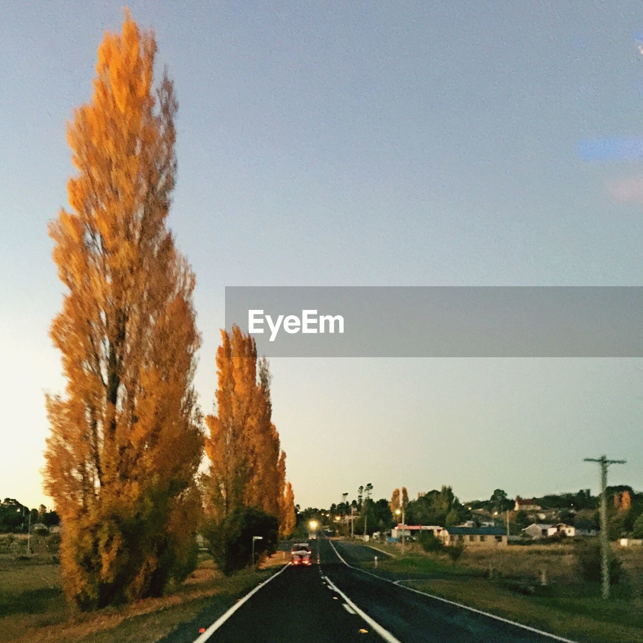 Country road along trees