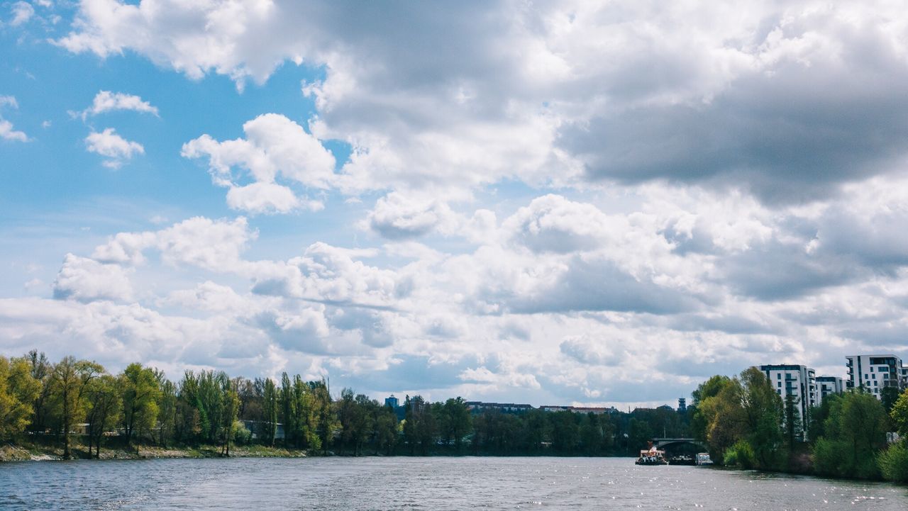 Scenic view of trees against sky