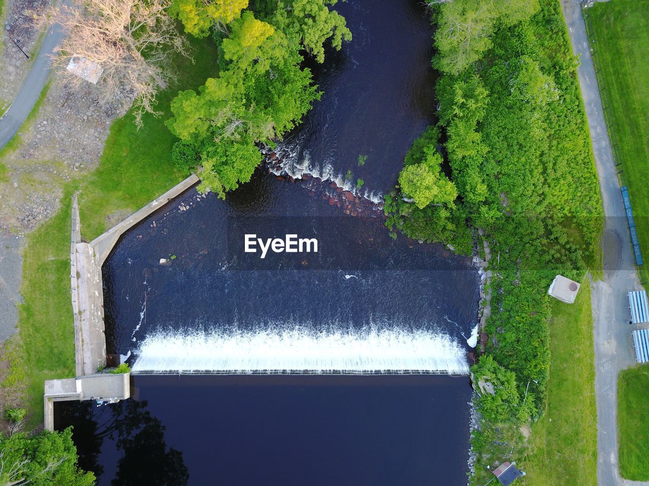 HIGH ANGLE VIEW OF PLANTS BY POND