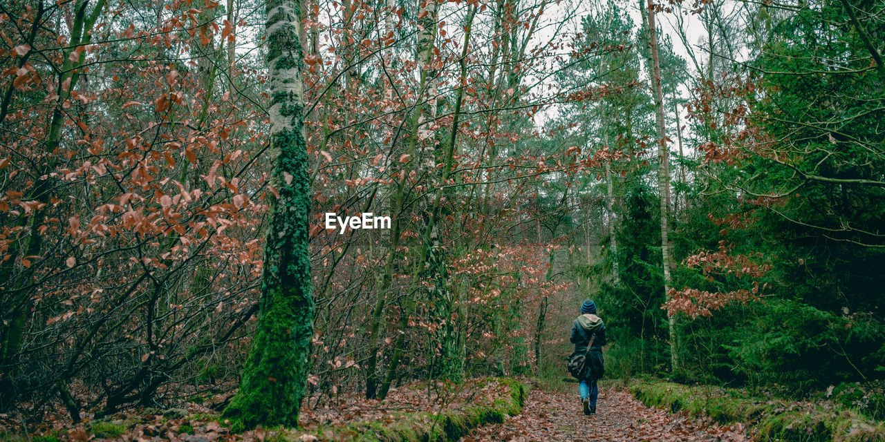 Woman amidst trees in forest