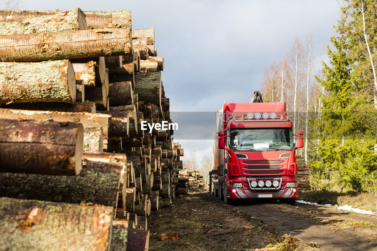 Truck loading logs in forest