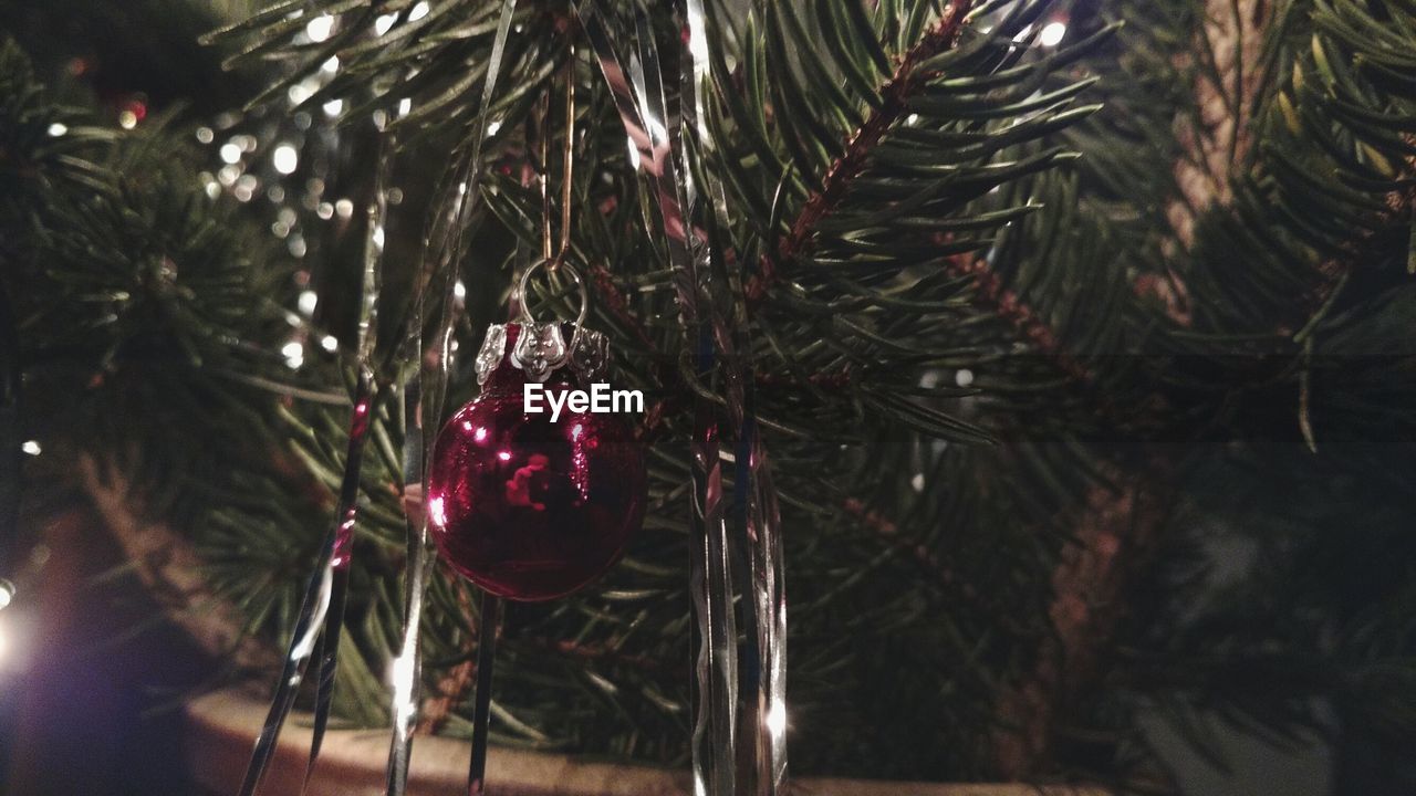 CLOSE-UP OF CHRISTMAS TREE HANGING FROM BRANCH