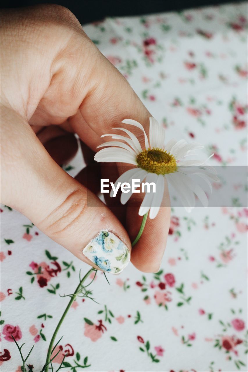 Close-up of hand holding flower