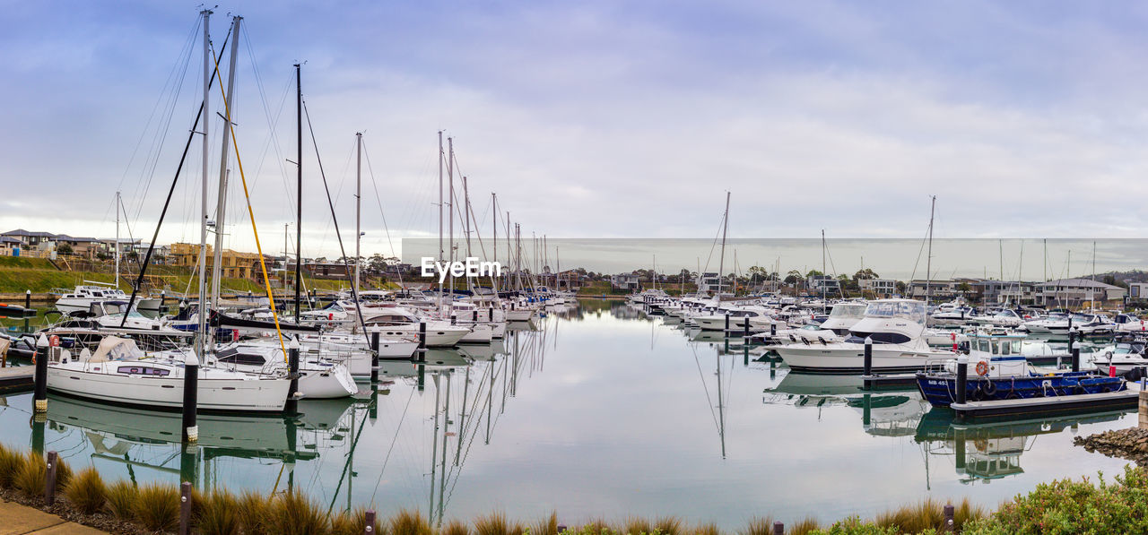 Sailboats moored in harbor