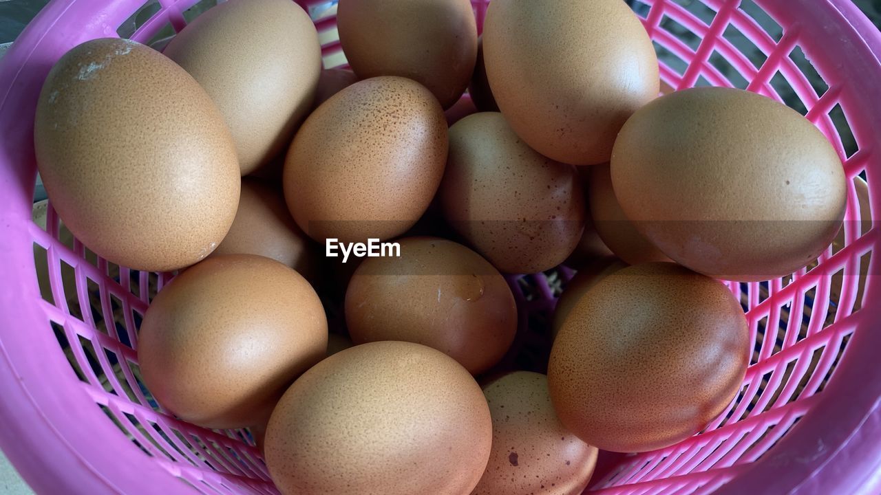 Several chicken eggs in a plastic basket
