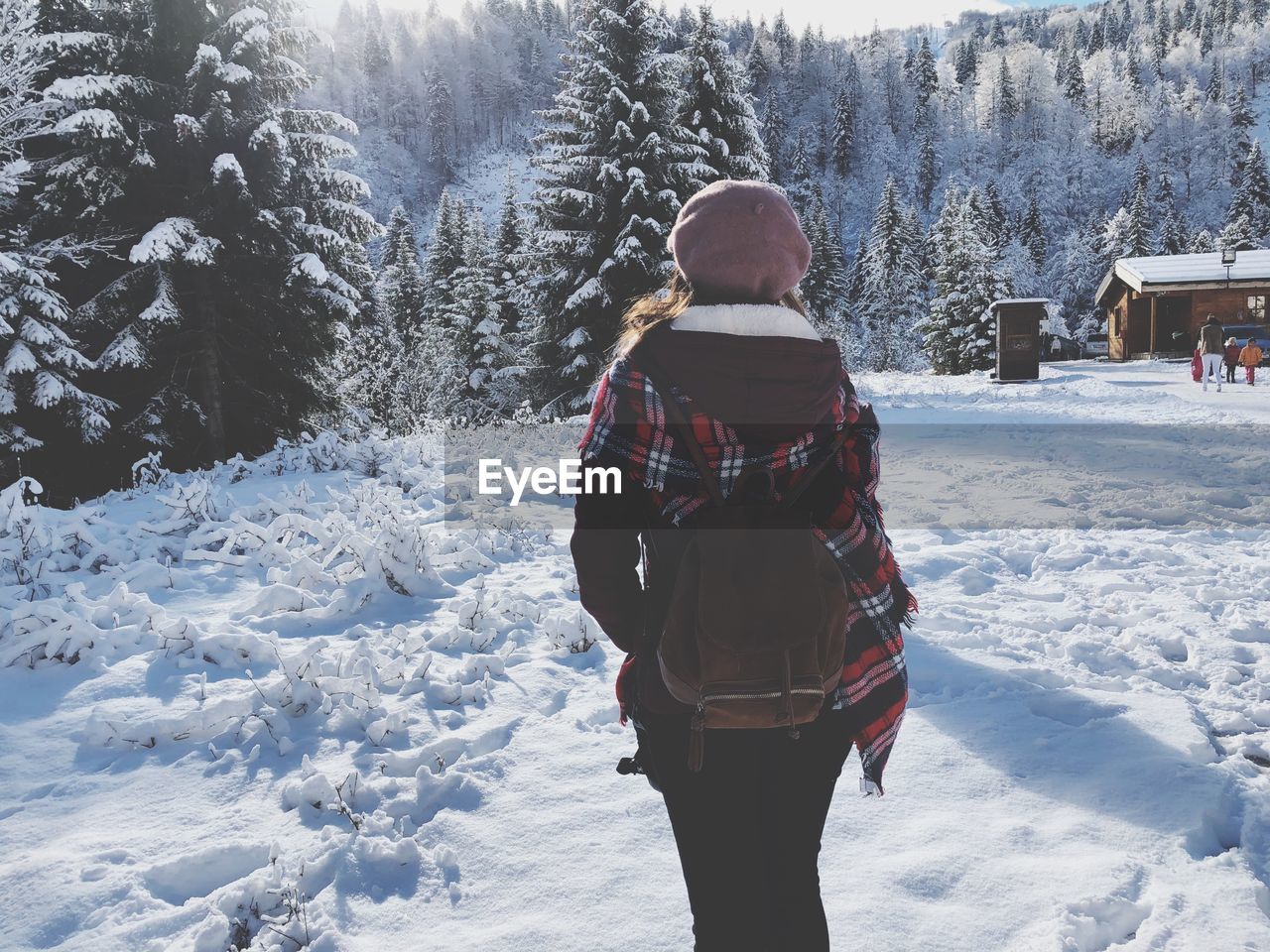 Rear view of woman on snow covered land