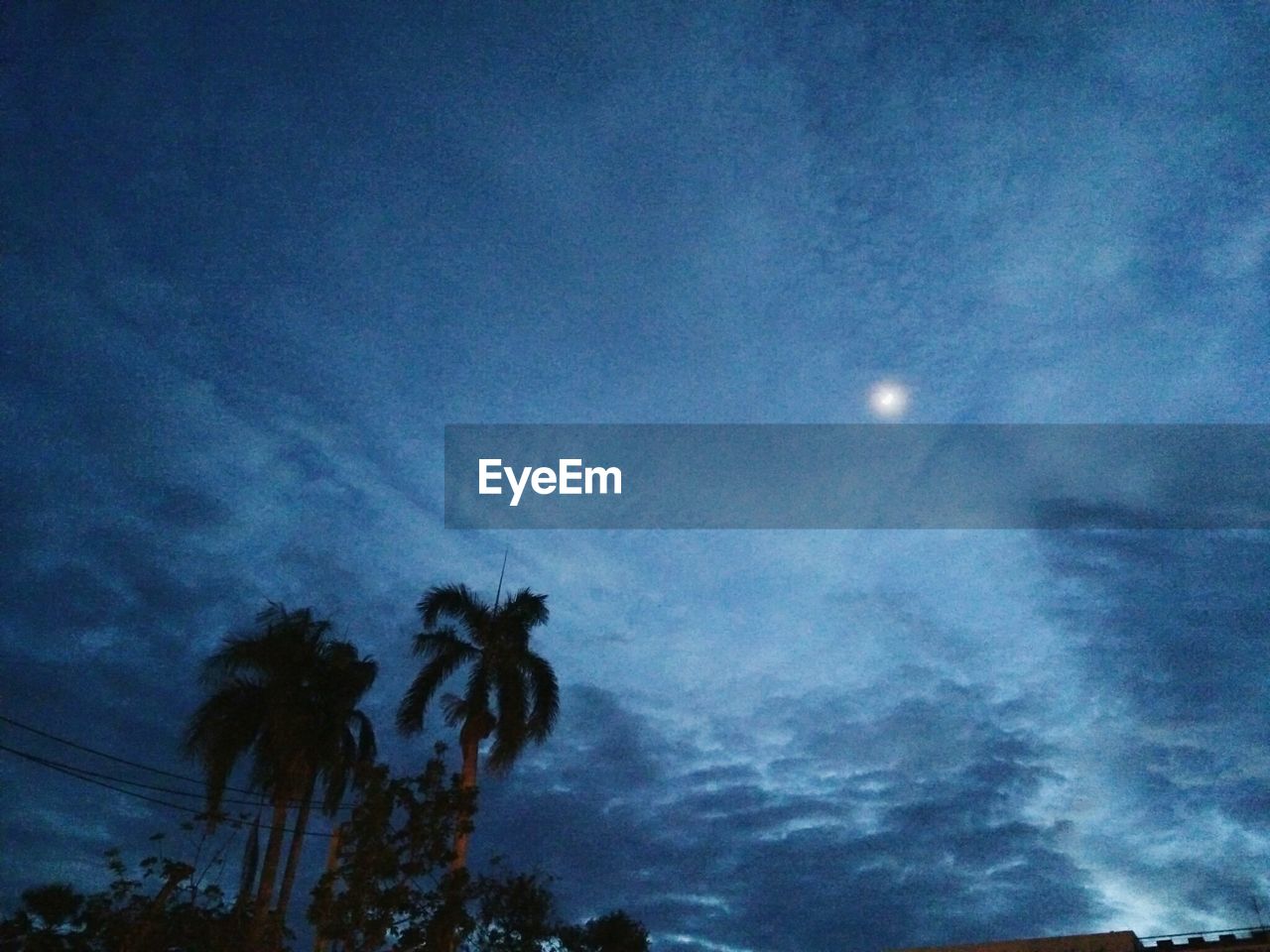 LOW ANGLE VIEW OF SILHOUETTE COCONUT PALM TREE AGAINST SKY