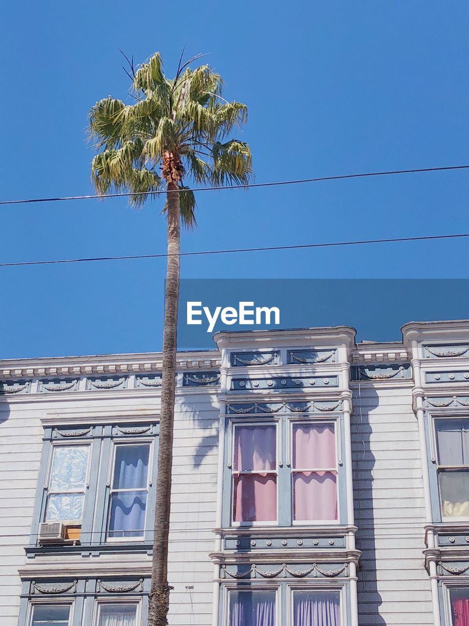 LOW ANGLE VIEW OF PALM TREE AGAINST BUILDING